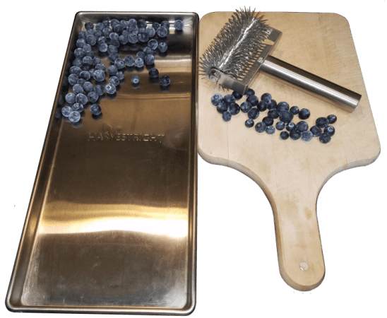 A metal tray with blueberries and a wooden board.