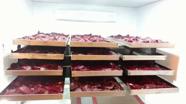 A room filled with trays of meat.