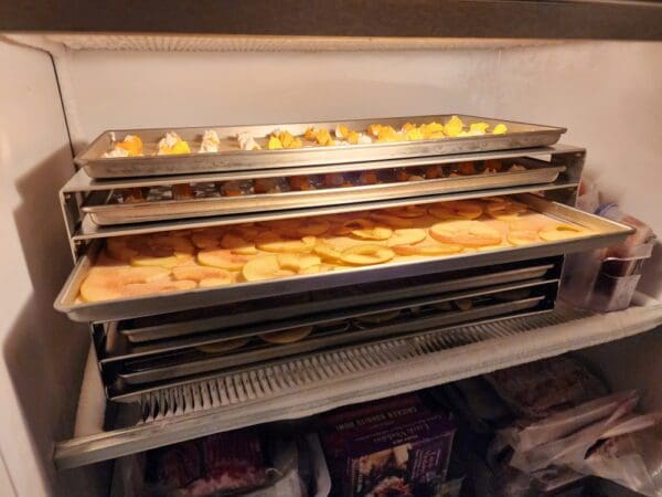 A rack of food in an oven with trays