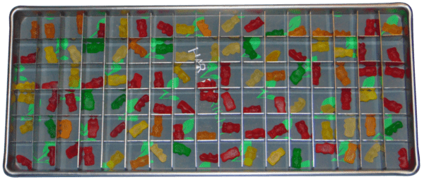 A display case filled with gummy bears in different colors.